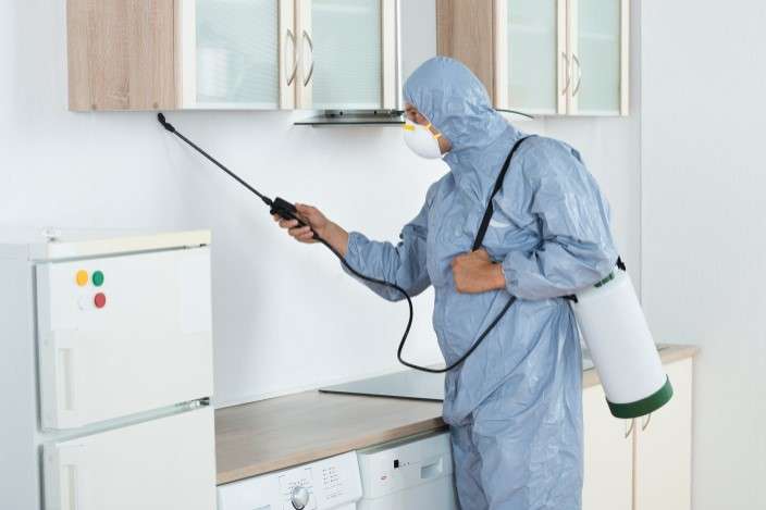 Residential Pest Control Services